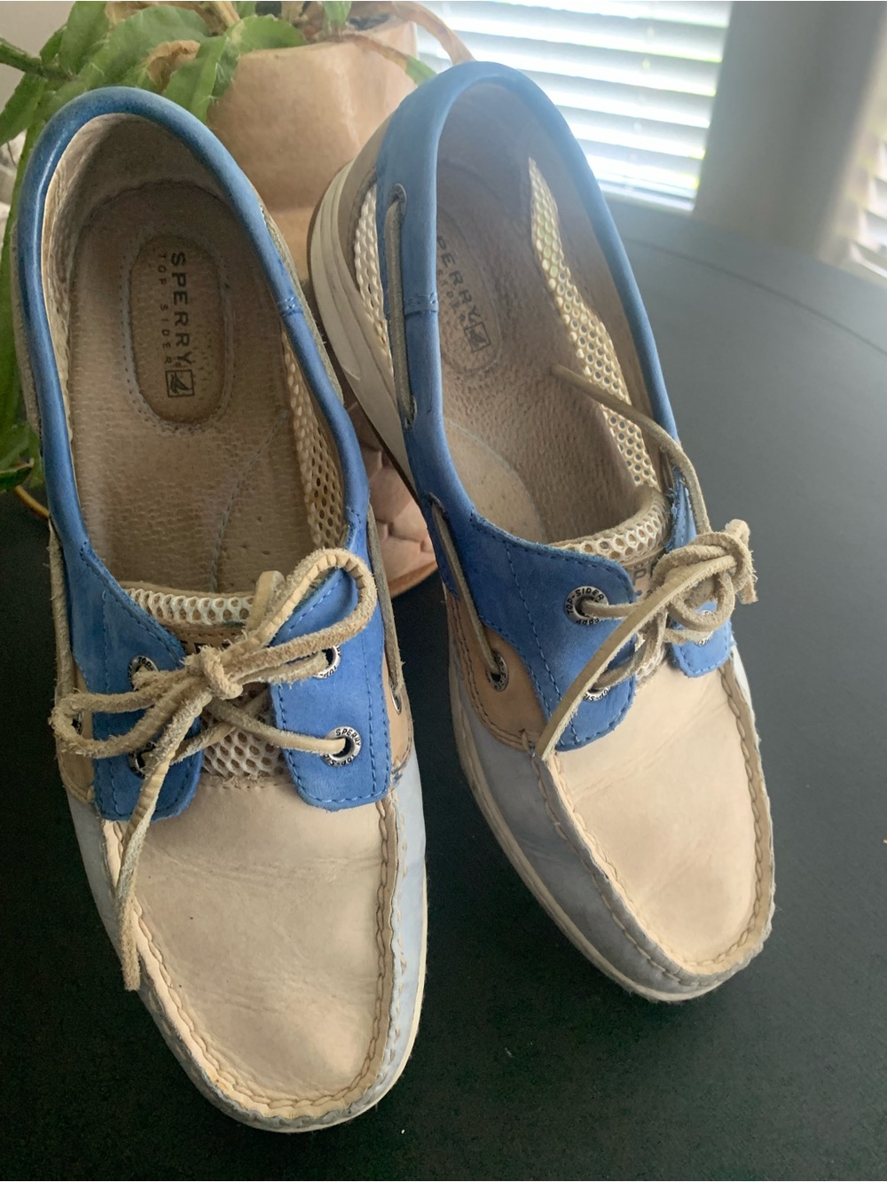 Sperry Two-Tone Blue and Beige Deck Shoes